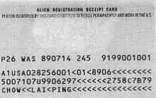 Green Card Photograph-Rear